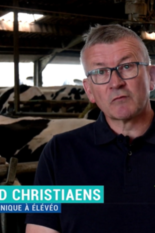 Interview B. Christiaens